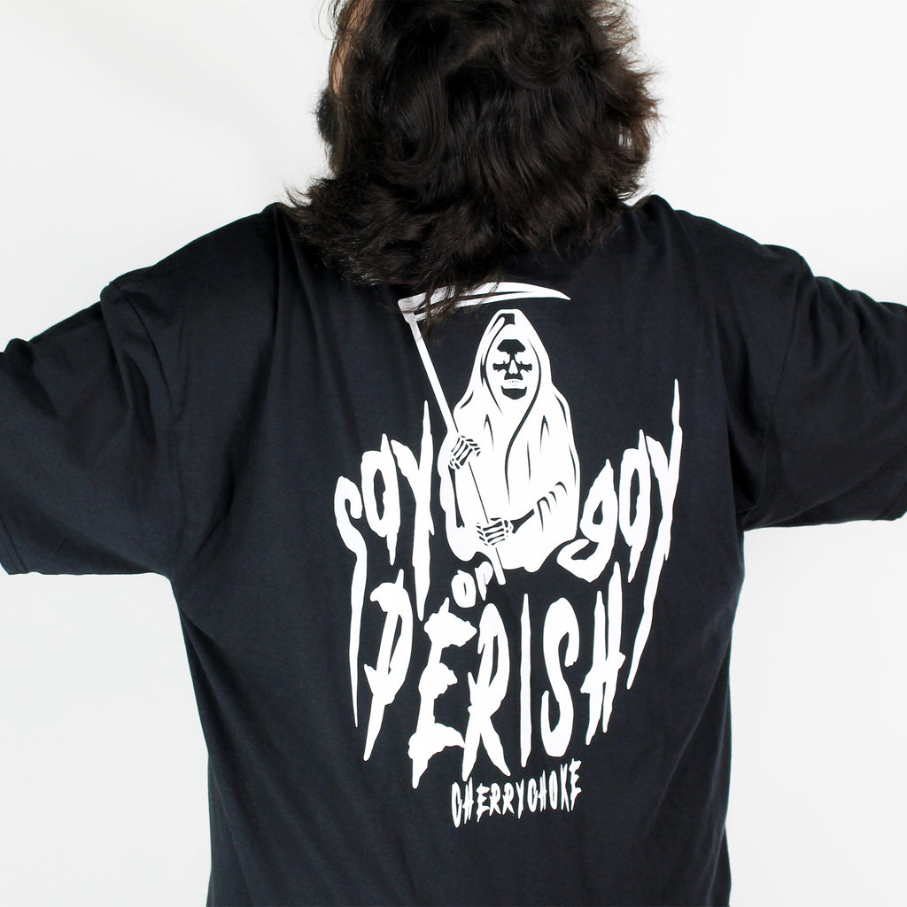 Say Gay or Perish Tee
