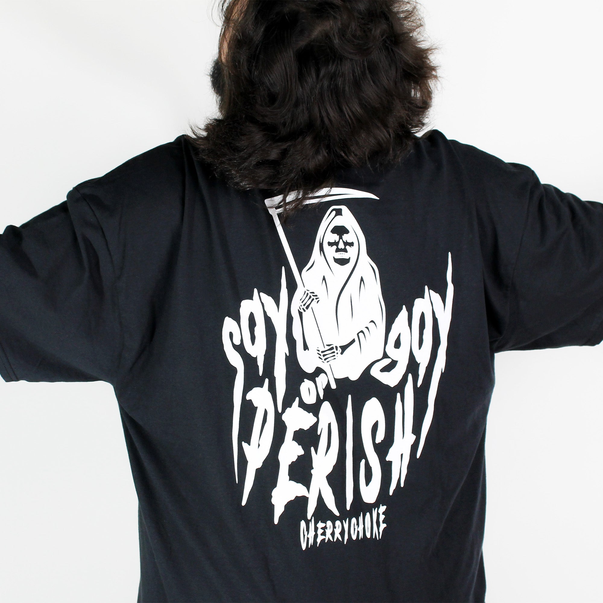 Say Gay or Perish Tee