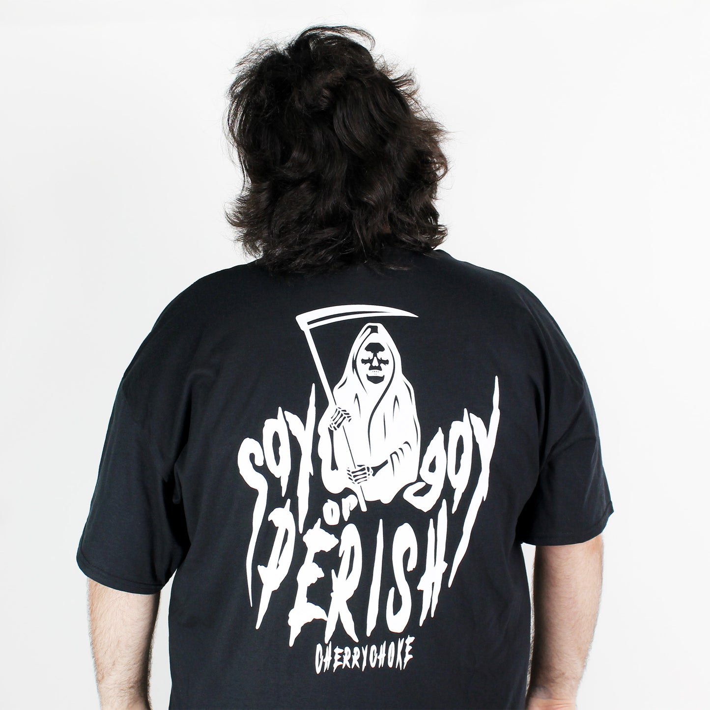 Say Gay or Perish Tee