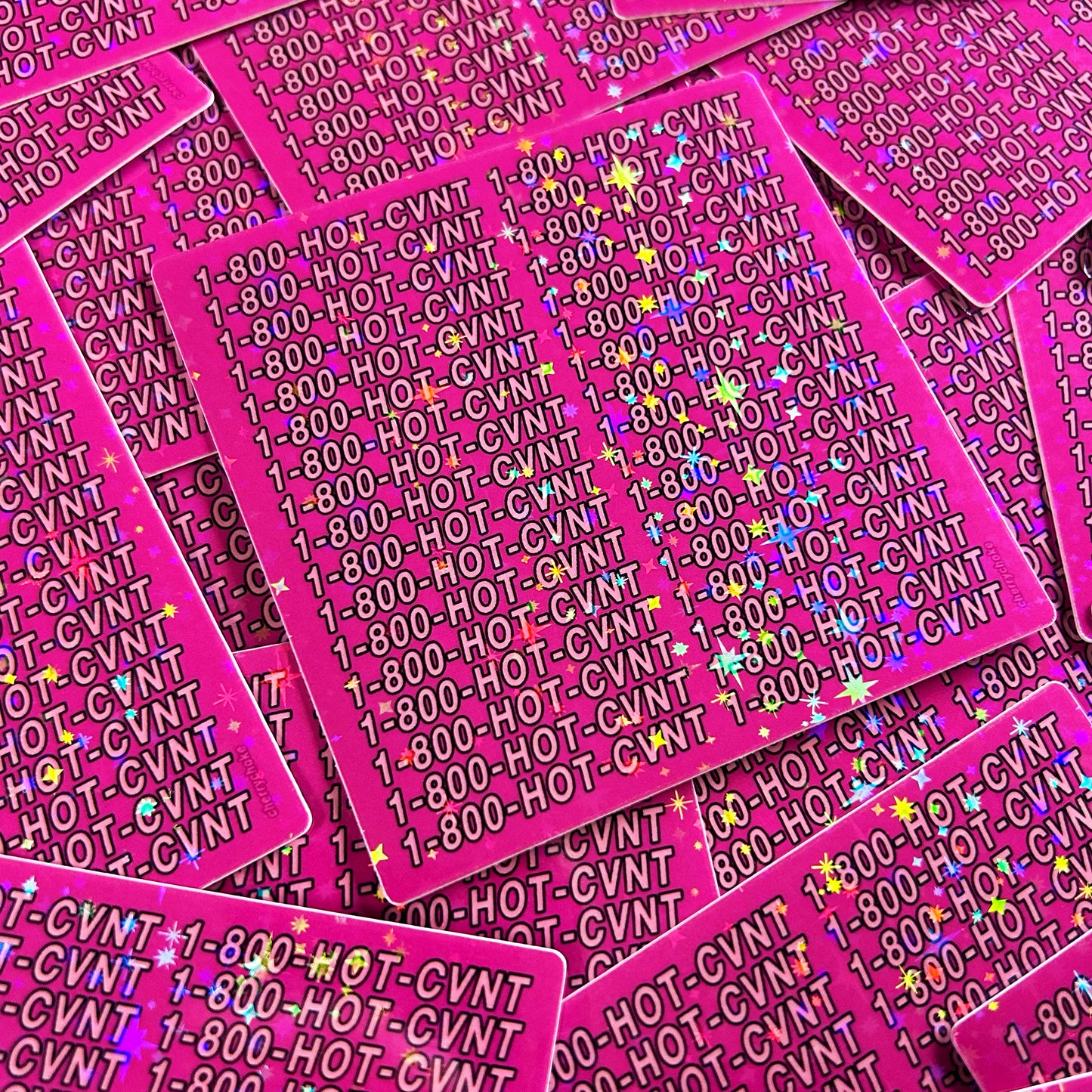 1-800-HOT-CVNT Sticker