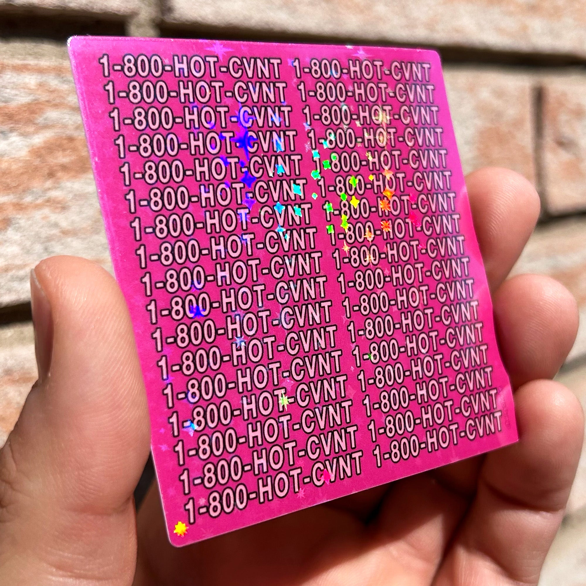 1-800-HOT-CVNT Sticker