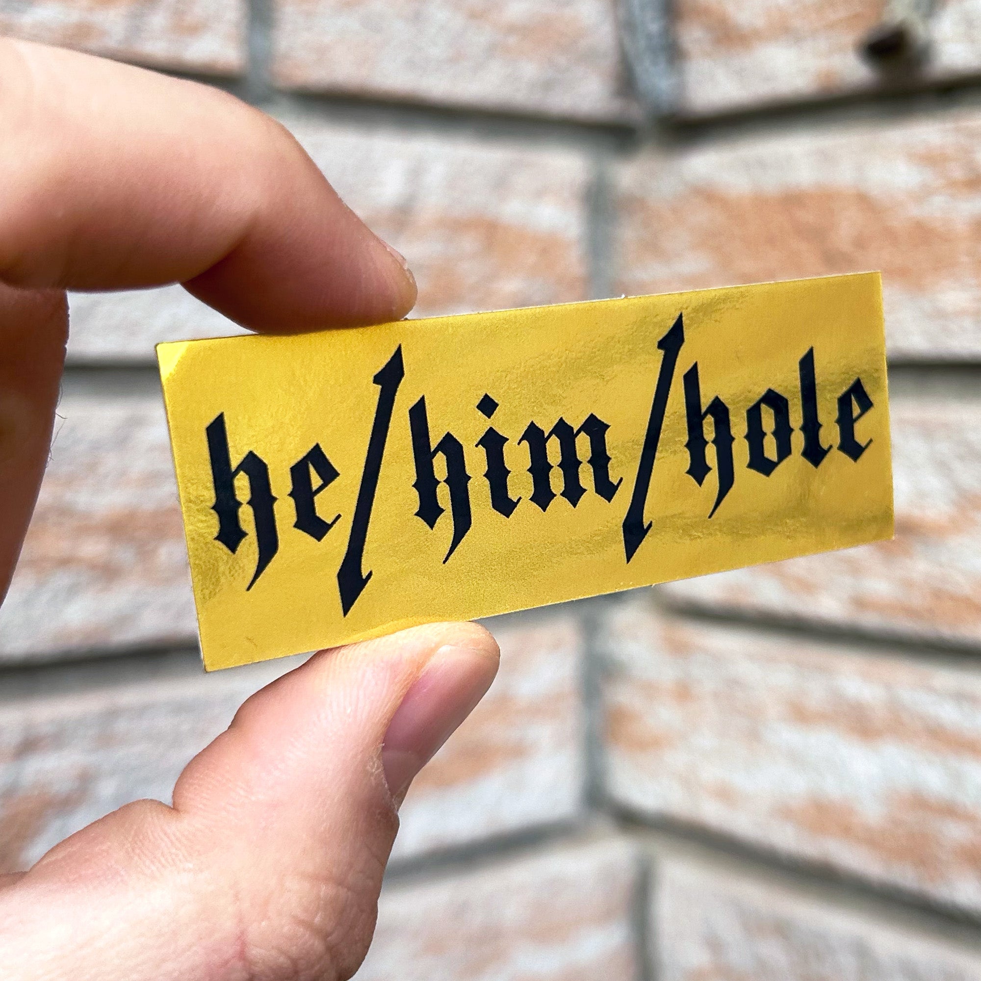 he/him/hole Sticker